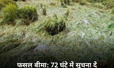 गोरखपुर फसल बर्बाद होने पर 72 घंटे के भीतर दें सूचना मिलेगा बीमा लाभ